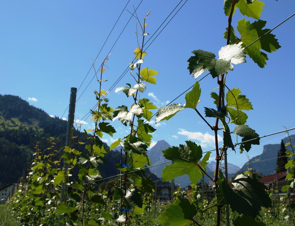 Gielerhof Zell am Ziller